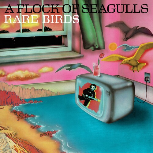 Order A Flock Of Seagulls - Rare Birds: 'A Flock Of Seagulls' B-Sides, Edits and Alternate Mixes (RSD Exclusive, Vinyl)