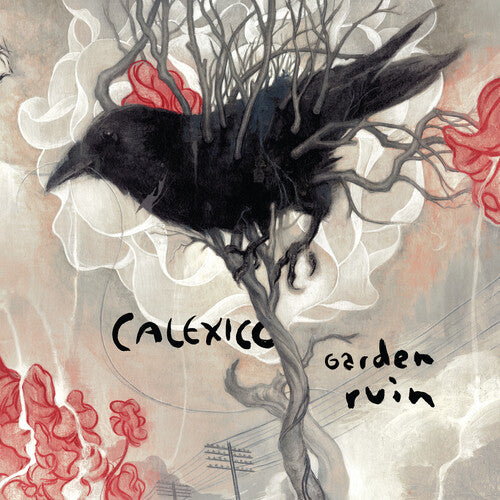 Buy Calexico - Garden Ruin (Silver & White Vinyl)