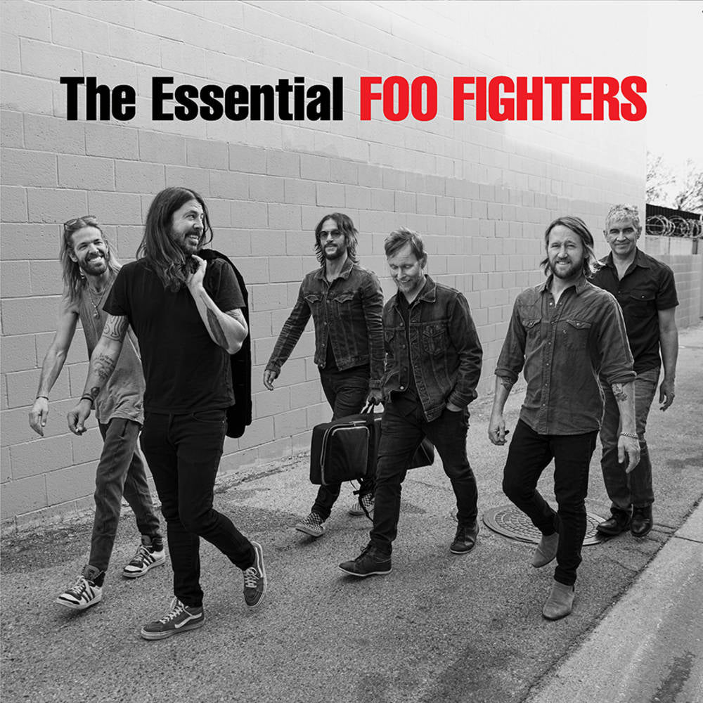 Buy Foo Fighters - The Essential (2xLP Vinyl)