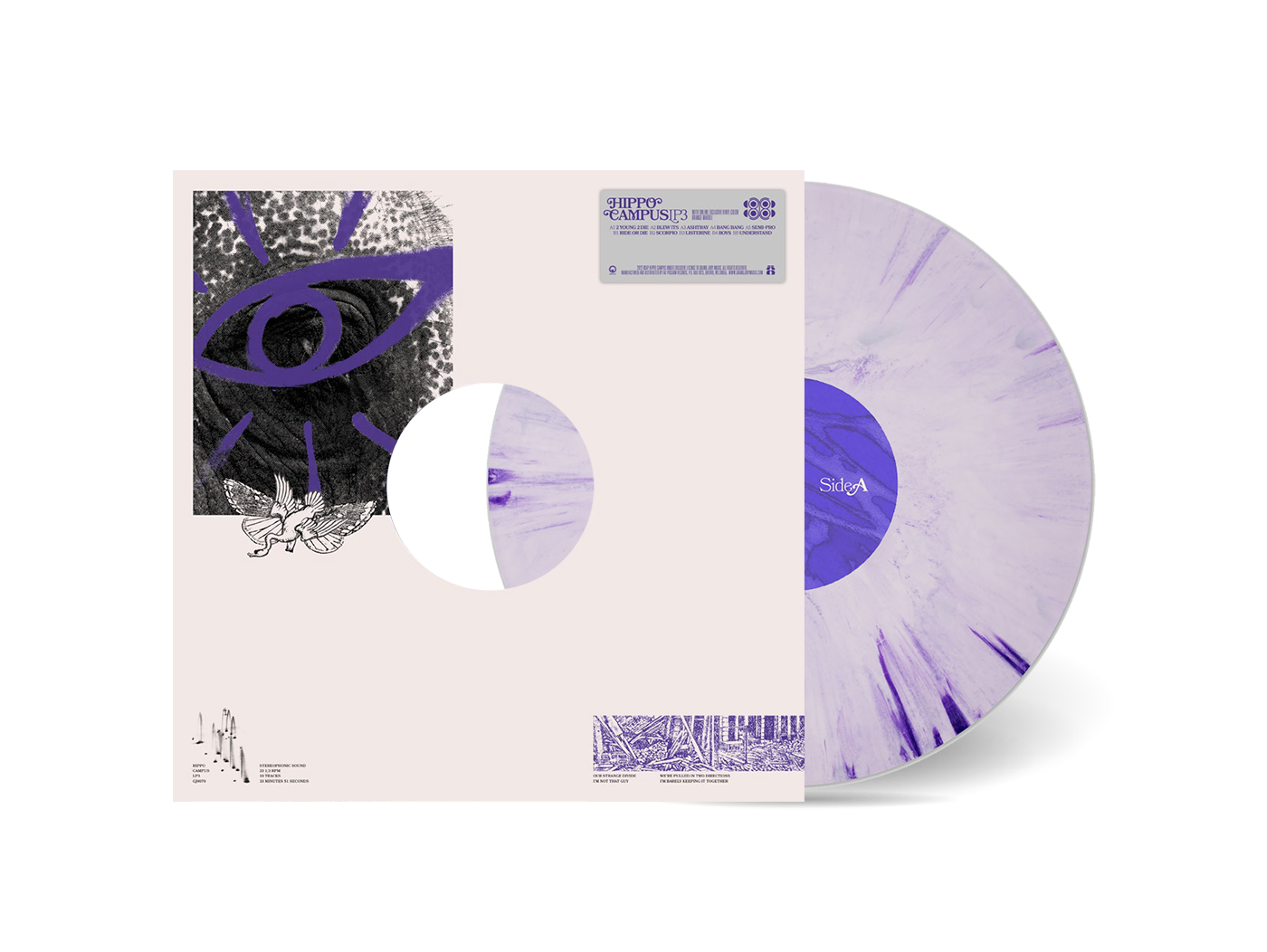 Buy Hippo Campus - LP3 (Indie Exclusive, Clear Purple Vinyl)