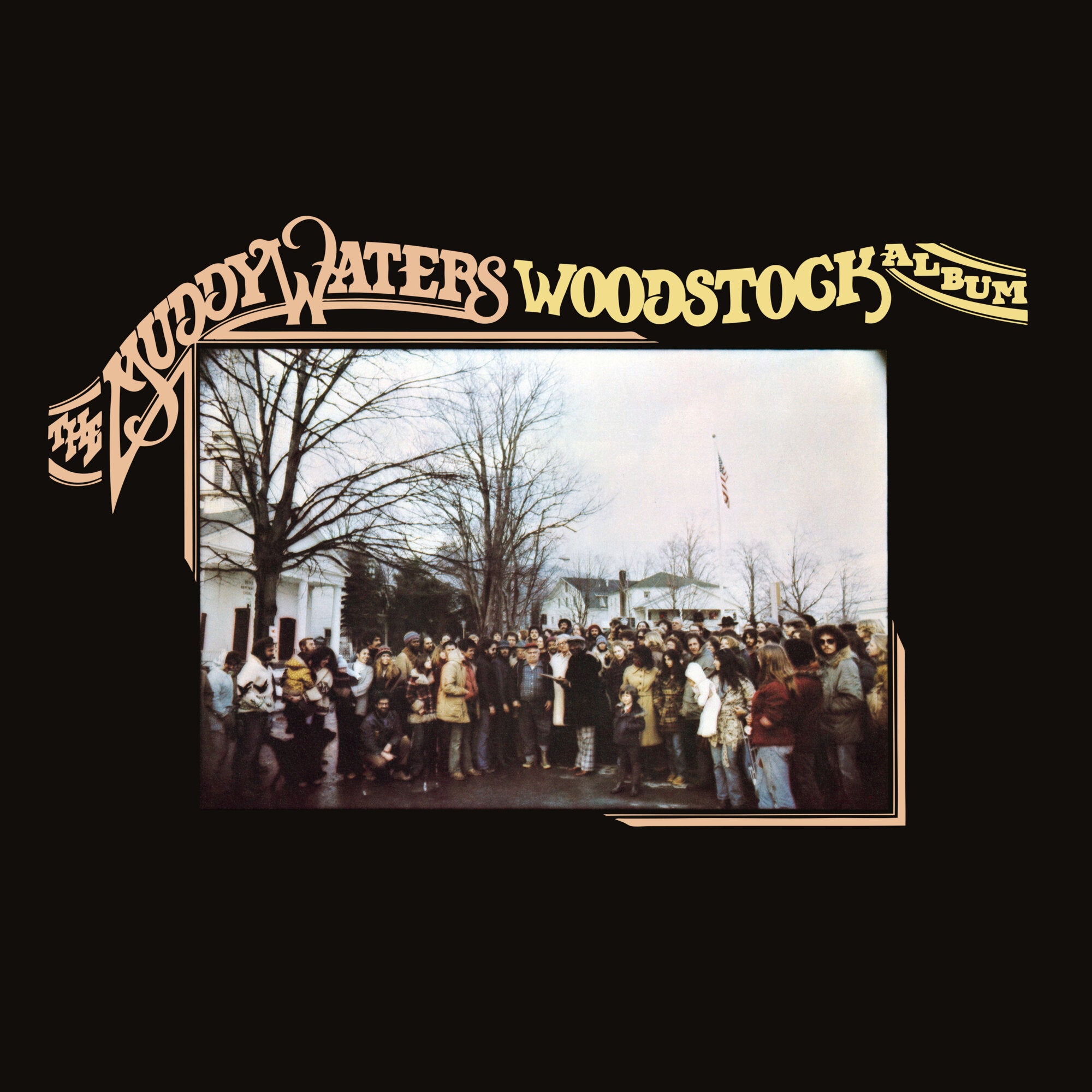 Order Muddy Waters - The Muddy Waters Woodstock Album (RSD 2023, Vinyl)