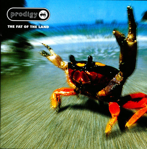 Buy The Prodigy - The Fat Of The Land (2xLP Vinyl)