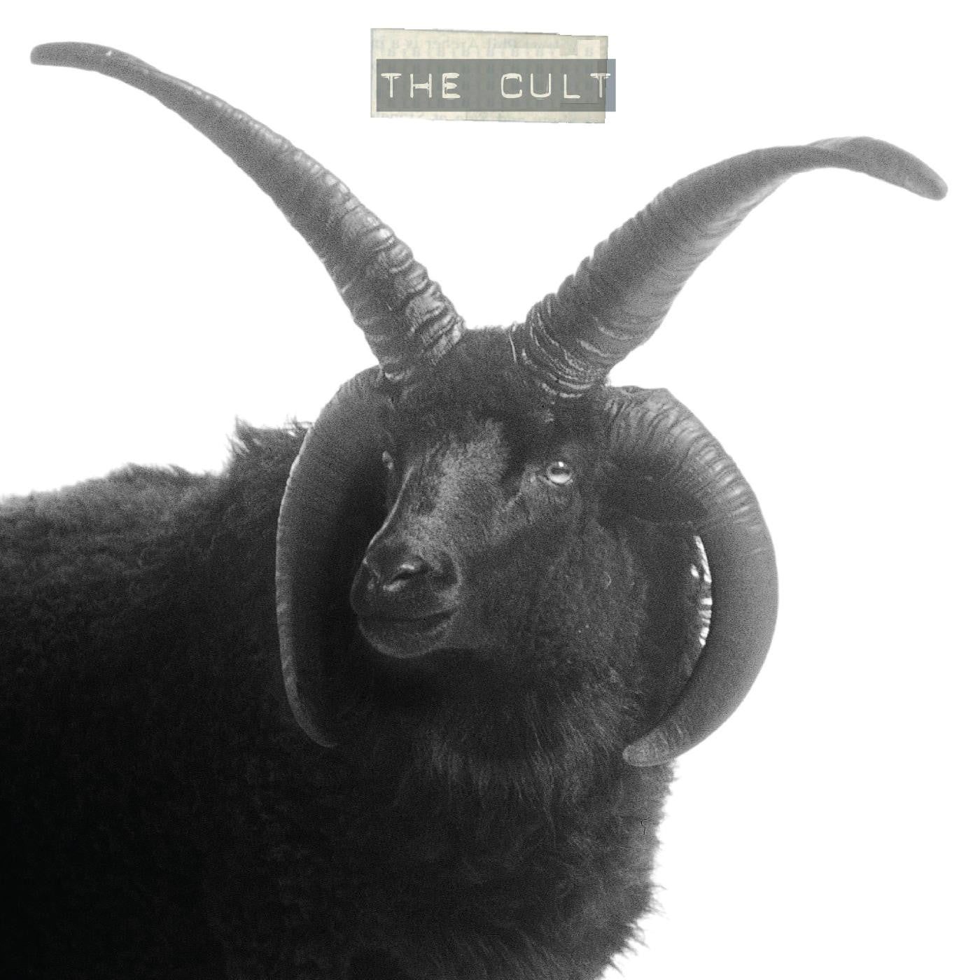 Order The Cult - The Cult (Indie Exclusive, 2xLP White Vinyl)