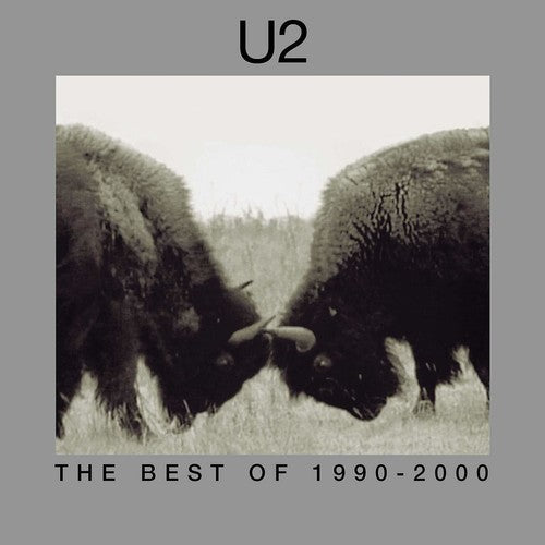 Order U2 - The Best Of 1990-2000 (2xLP 180 Gram Vinyl)
