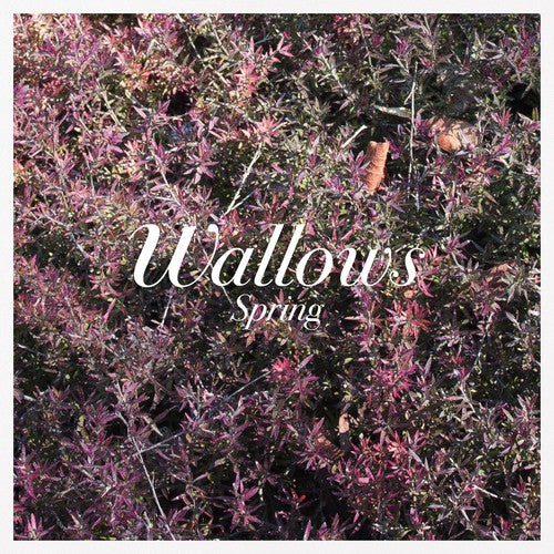 Buy Wallows - Spring (Pink & Green Vinyl)